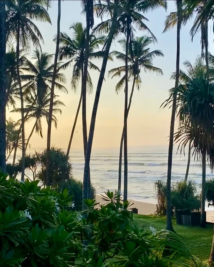 Groupe de surffoileurs prêts à se mettre à l'eau